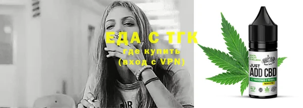 хмурый Алексин