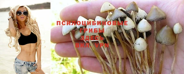 хмурый Алексин