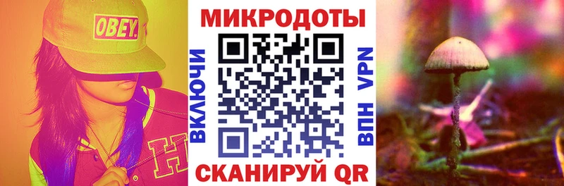 Псилоцибиновые грибы прущие грибы  Белгород 