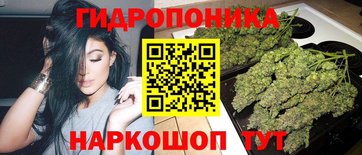 Канабис сатива  Канабис гибрид  Белгород  МАРИХУАНА план  Вход с VPN 